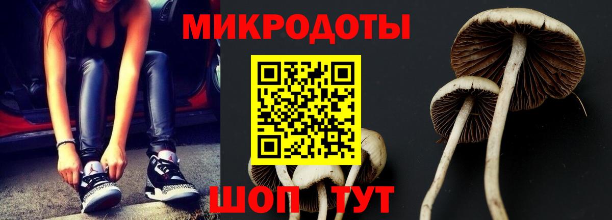 Галлюциногенные грибы Magic Shrooms  Вход с VPN  Отрадное  Псилоцибиновые грибы мухоморы 
