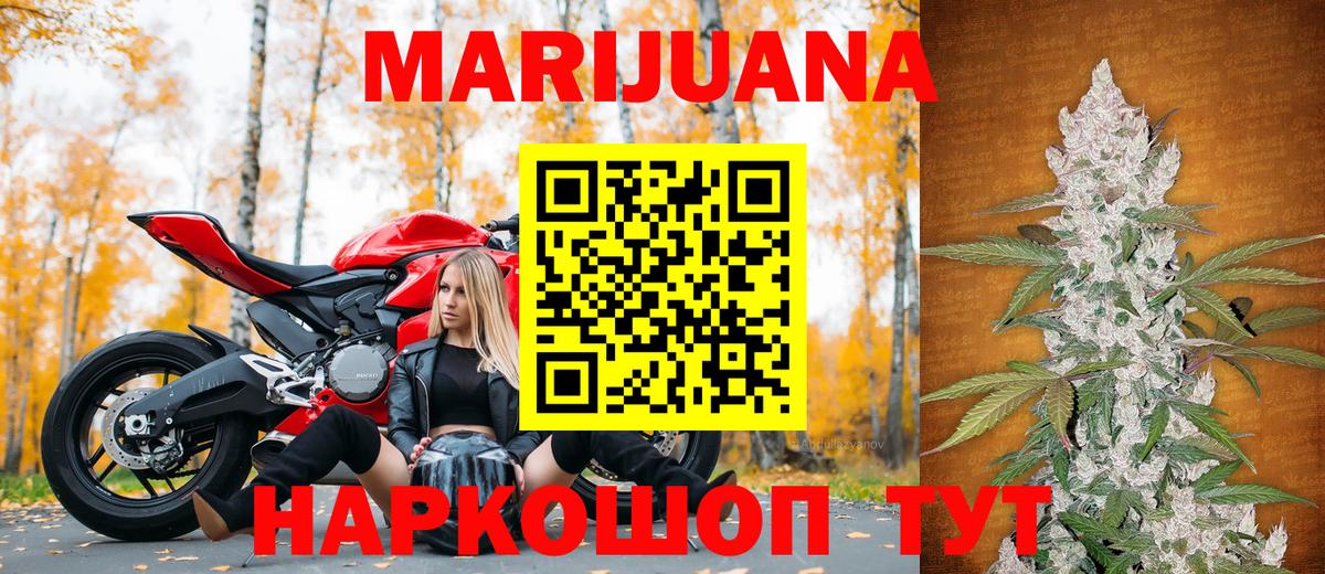 Канабис конопля Отрадное